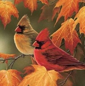 Meet your Posher, Martha